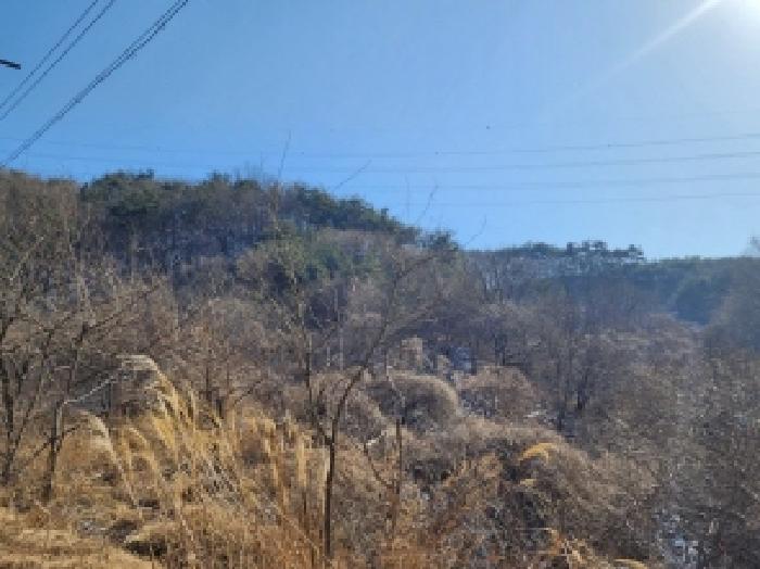 전라남도 보성군 문덕면 귀산리 산112 임야 경매 사진 89