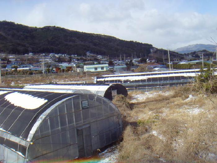 전라남도 완도군 군외면 불목리 396-1 외 2필지 전 경매 사진 1