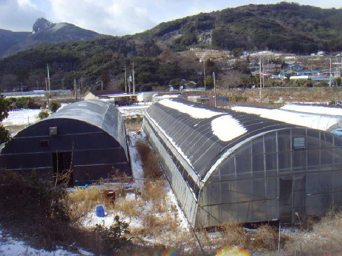 전라남도 완도군 군외면 불목리 396-1 외 2필지 전 경매 사진 2