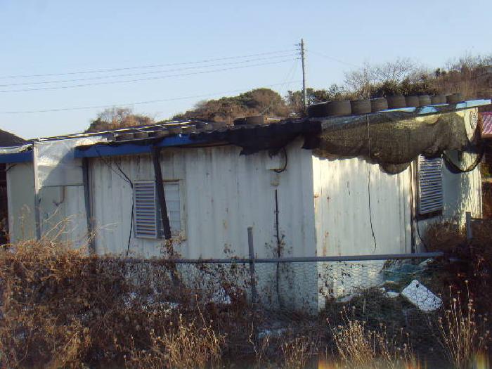 전라남도 완도군 군외면 불목리 396-1 외 2필지 전 경매 사진 12