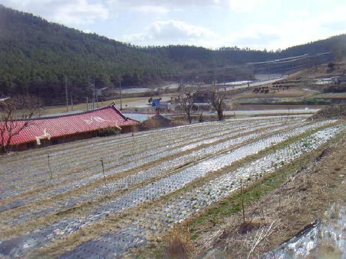 전라남도 해남군 화원면 신덕리 1193-2 전 경매 사진 3