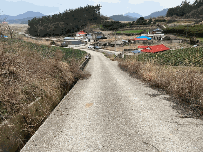 전라남도 진도군 지산면 길은리 51 전 경매 사진 13
