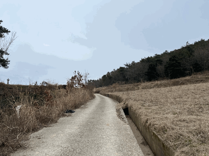 전라남도 진도군 지산면 길은리 51 전 경매 사진 15