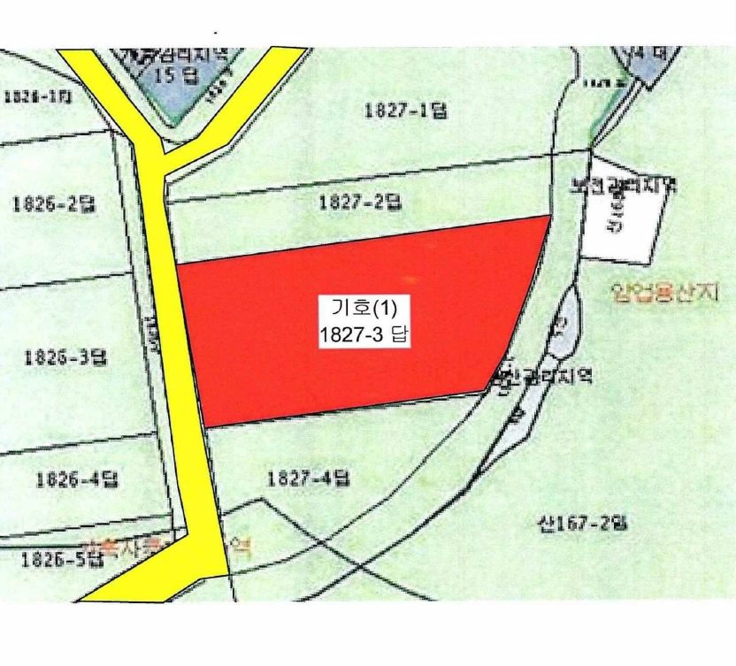 전라남도 진도군 고군면 지막리 1827-3 답 경매 사진 16