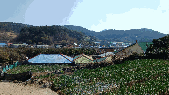 전라남도 완도군 금일읍 신구리 820-1 전 경매 사진 4
