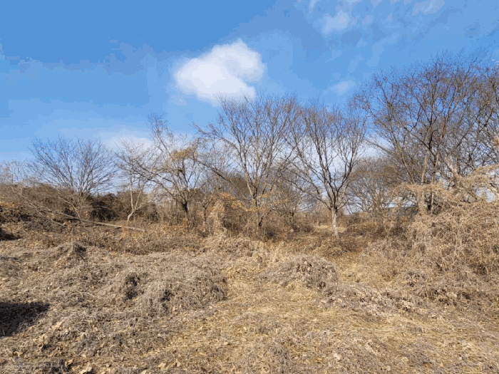 전북특별자치도 김제시 순동 665-6 외 4필지 답 경매 사진 18