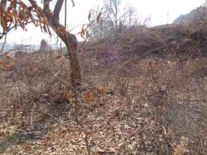 전북특별자치도 김제시 순동 665-6 외 4필지 답 경매 사진 3