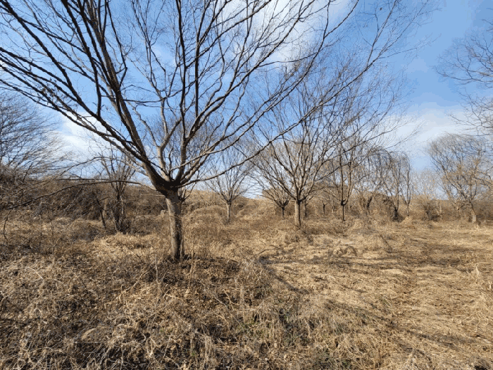 전북특별자치도 김제시 순동 665-6 외 4필지 답 경매 사진 22