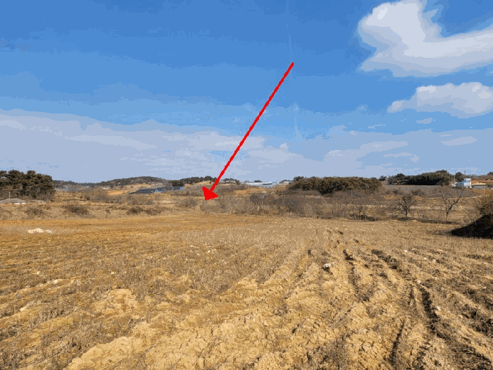 전북특별자치도 김제시 순동 665-6 외 4필지 답 경매 사진 24
