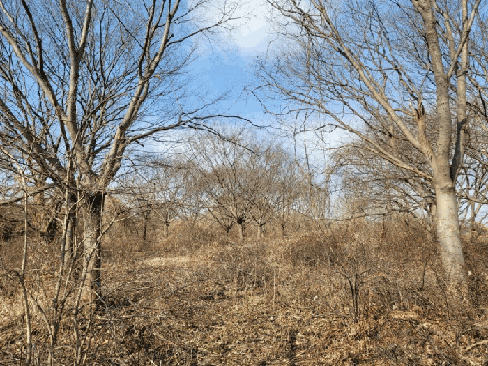 전북특별자치도 김제시 순동 665-6 외 4필지 답 경매 사진 26