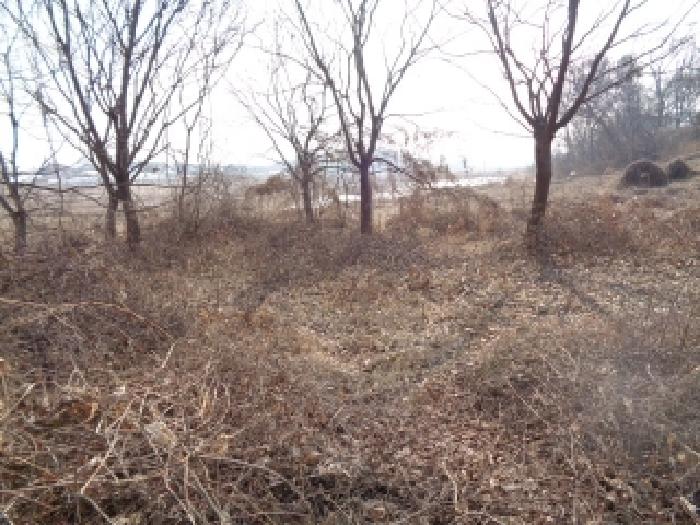 전북특별자치도 김제시 순동 665-6 외 4필지 답 경매 사진 9