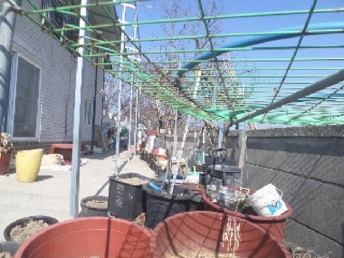 전북특별자치도 완주군 삼례읍 삼례리 1081 외 3필지 대지 경매 사진 11