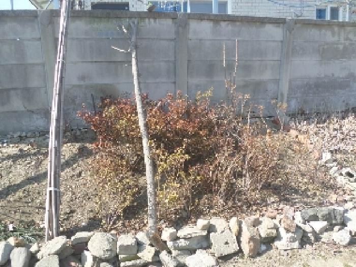 전북특별자치도 완주군 삼례읍 삼례리 1081 외 3필지 대지 경매 사진 22