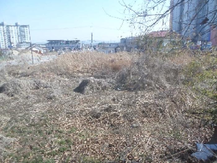 전북특별자치도 완주군 삼례읍 삼례리 1081 외 3필지 대지 경매 사진 25