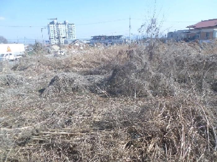 전북특별자치도 완주군 삼례읍 삼례리 1081 외 3필지 대지 경매 사진 26