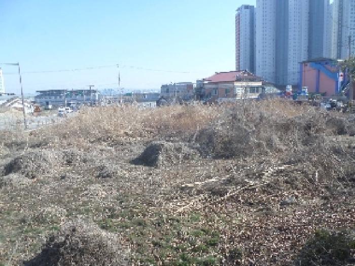 전북특별자치도 완주군 삼례읍 삼례리 1081 외 3필지 대지 경매 사진 6