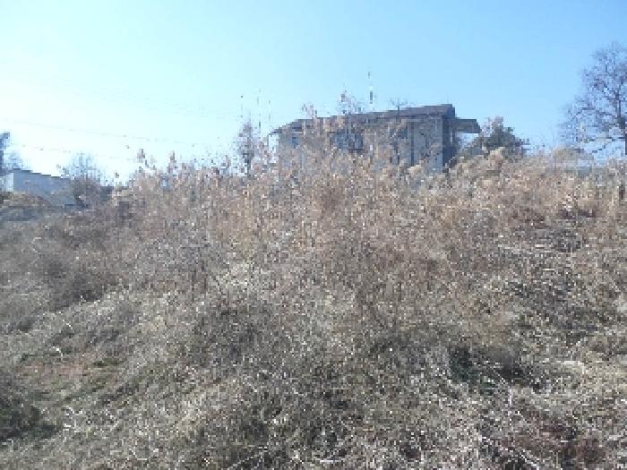 전북특별자치도 완주군 삼례읍 삼례리 1081 외 3필지 대지 경매 사진 8