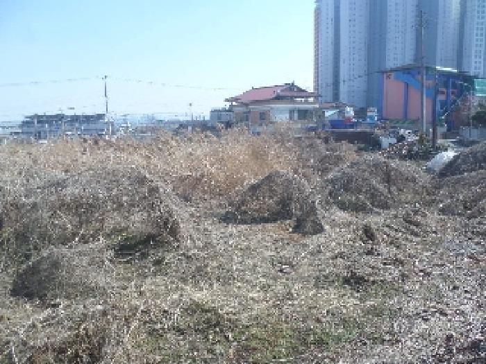전북특별자치도 완주군 삼례읍 삼례리 1081 외 3필지 대지 경매 사진 10