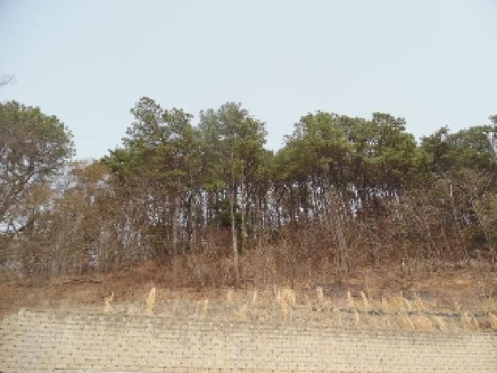 전북특별자치도 완주군 고산면 양야리 684-2 외 15필지 임야 경매 사진 29