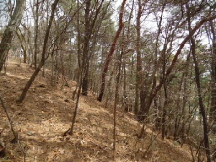 전북특별자치도 완주군 고산면 양야리 684-2 외 15필지 임야 경매 사진 34