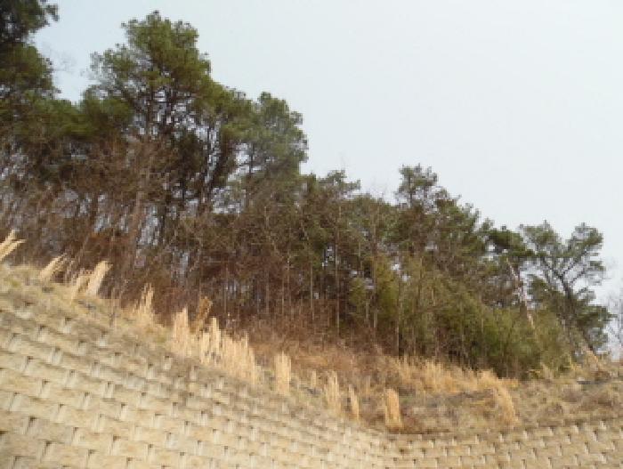 전북특별자치도 완주군 고산면 양야리 684-2 외 15필지 임야 경매 사진 36