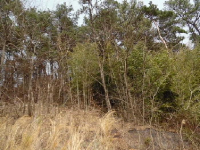 전북특별자치도 완주군 고산면 양야리 684-2 외 15필지 임야 경매 사진 37