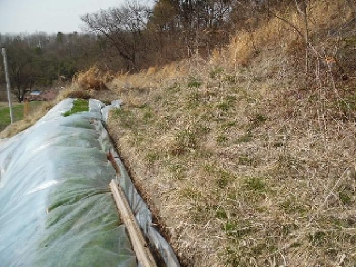전북특별자치도 완주군 고산면 양야리 684-2 외 15필지 임야 경매 사진 46