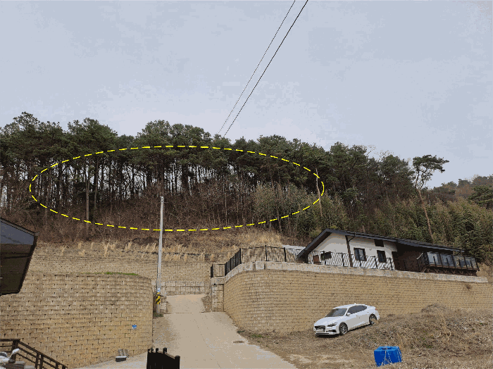 전북특별자치도 완주군 고산면 양야리 684-2 외 15필지 임야 경매 사진 49