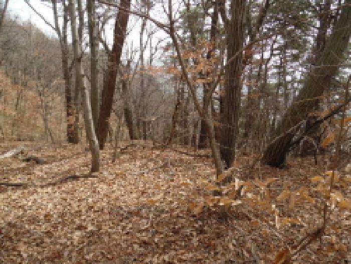 전북특별자치도 완주군 고산면 양야리 684-2 외 15필지 임야 경매 사진 8