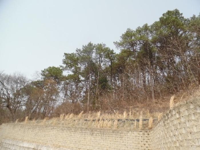 전북특별자치도 완주군 고산면 양야리 684-2 외 15필지 임야 경매 사진 9