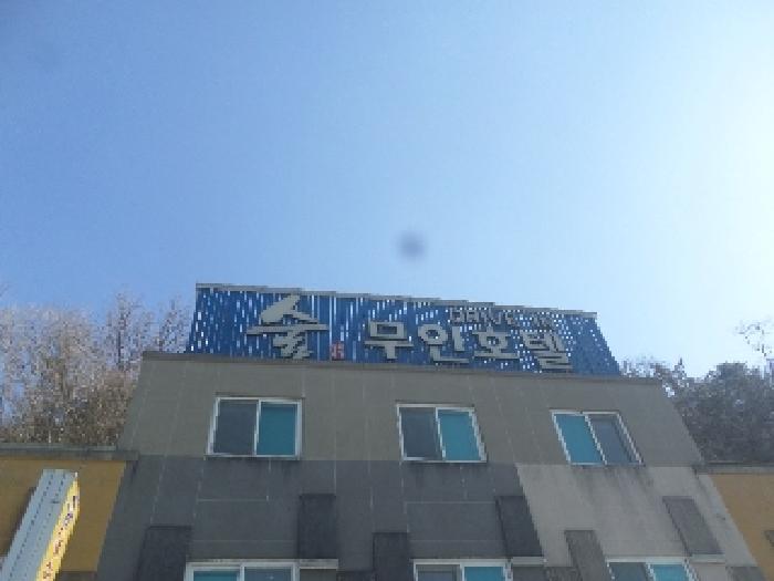 전북특별자치도 임실군 관촌면 용산리 176-21 외 1필지 숙박시설 경매 사진 29