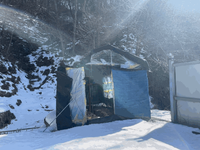 전북특별자치도 임실군 관촌면 용산리 176-21 외 1필지 숙박시설 경매 사진 47