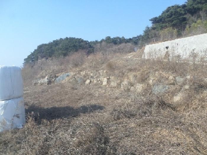 전북특별자치도 임실군 강진면 문방리 740-1 전 경매 사진 40