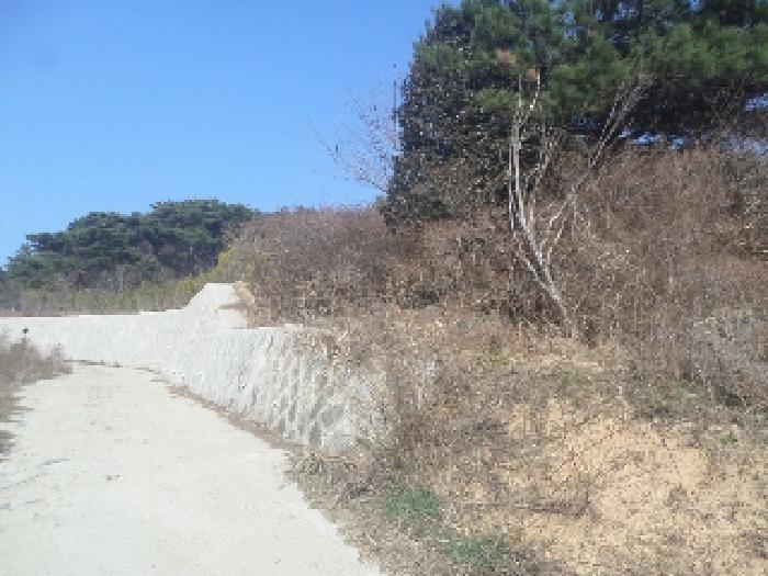 전북특별자치도 임실군 강진면 문방리 740-1 전 경매 사진 41
