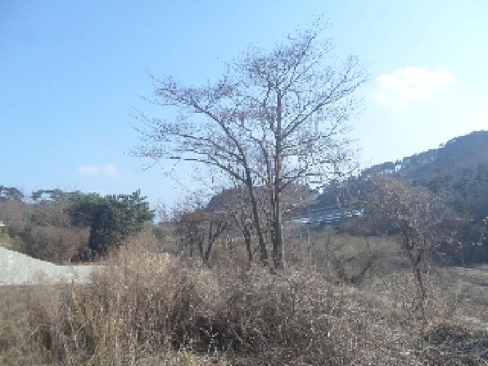 전북특별자치도 임실군 강진면 문방리 740-1 전 경매 사진 43