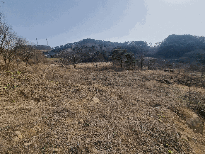 전북특별자치도 임실군 강진면 문방리 740-1 전 경매 사진 50