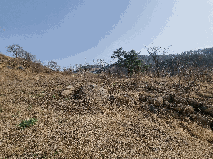 전북특별자치도 임실군 강진면 문방리 740-1 전 경매 사진 52