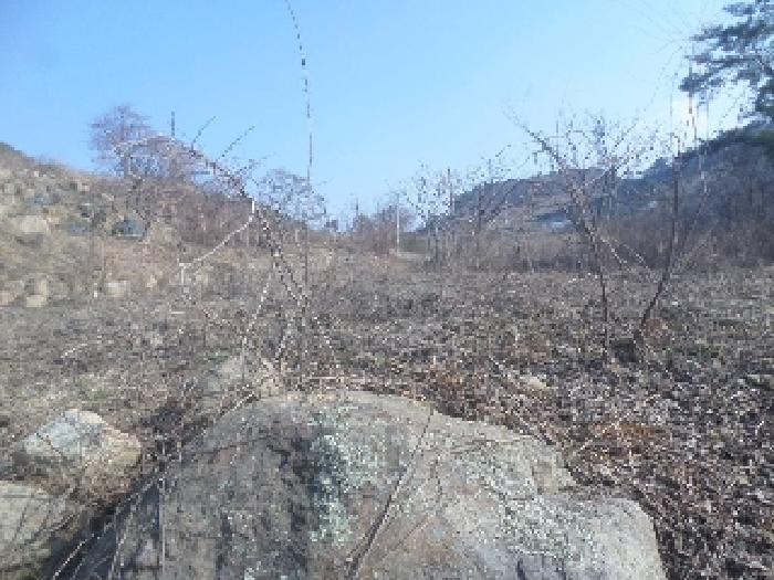 전북특별자치도 임실군 강진면 문방리 740-1 전 경매 사진 33