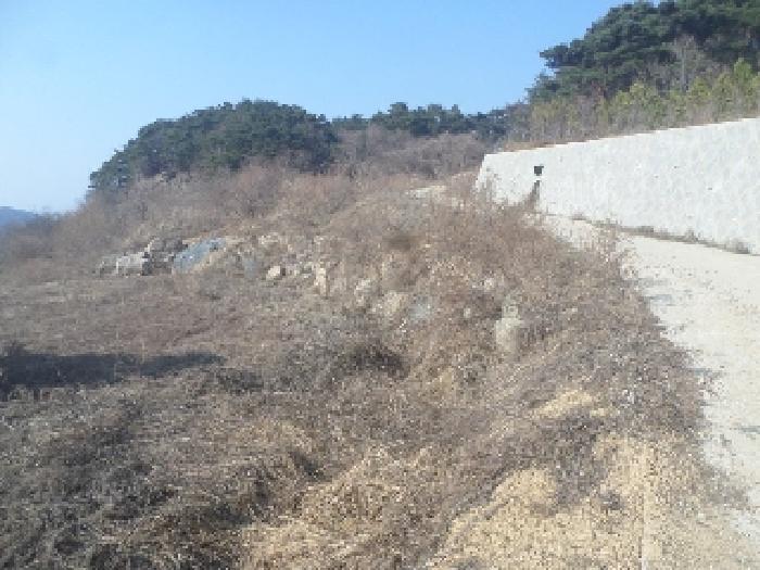 전북특별자치도 임실군 강진면 문방리 740-1 전 경매 사진 35