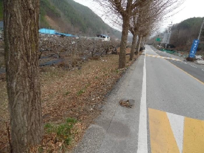 전북특별자치도 무주군 무주읍 오산리 828-1 외 1필지 전 경매 사진 12