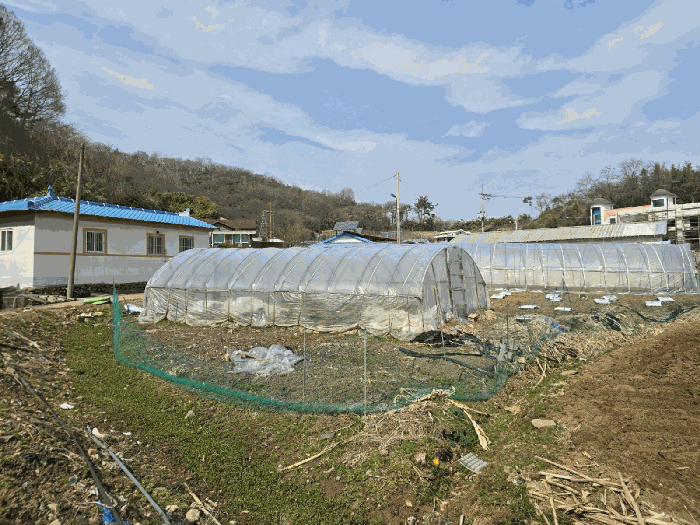 전북특별자치도 군산시 나운동 1262-1 전 경매 사진 46
