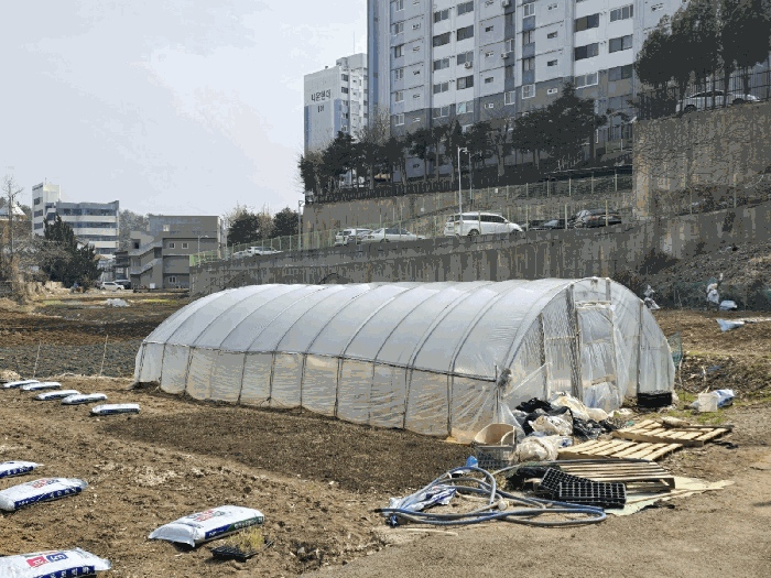 전북특별자치도 군산시 나운동 1262-1 전 경매 사진 47