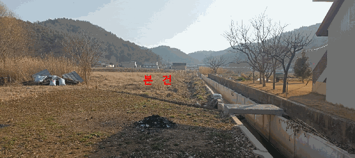 전북특별자치도 군산시 옥산면 옥산리 321-1 답 경매 사진 11