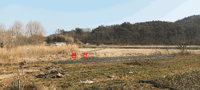 전북특별자치도 군산시 옥산면 옥산리 321-1 답 경매 사진 13