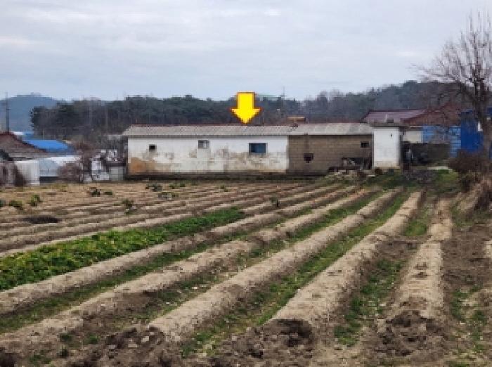전북특별자치도 정읍시 태인면 오봉리 432-5 외 3필지 단독주택 경매 사진 4