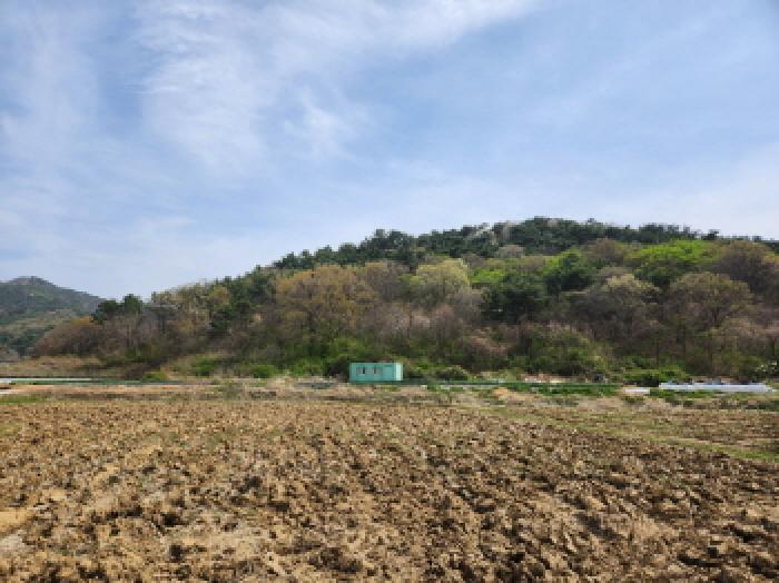 전북특별자치도 부안군 하서면 장신리 971-13 외 1필지 전 경매 사진 1