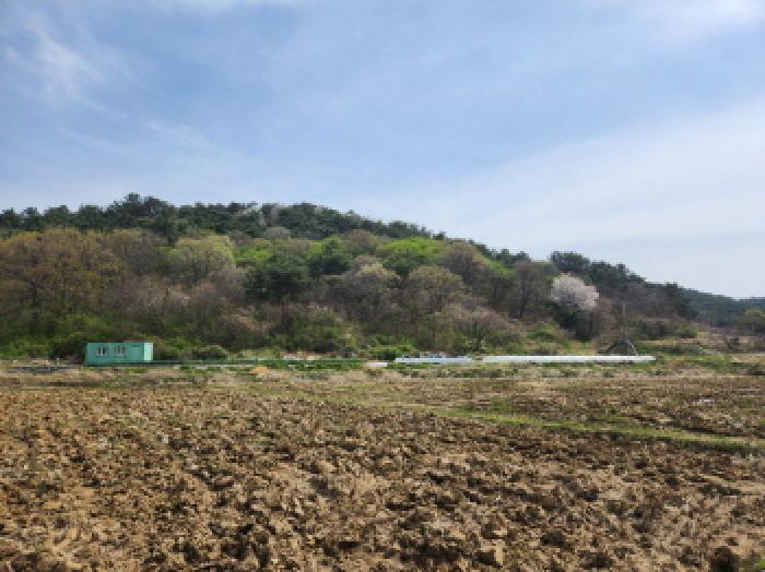 전북특별자치도 부안군 하서면 장신리 971-13 외 1필지 전 경매 사진 2