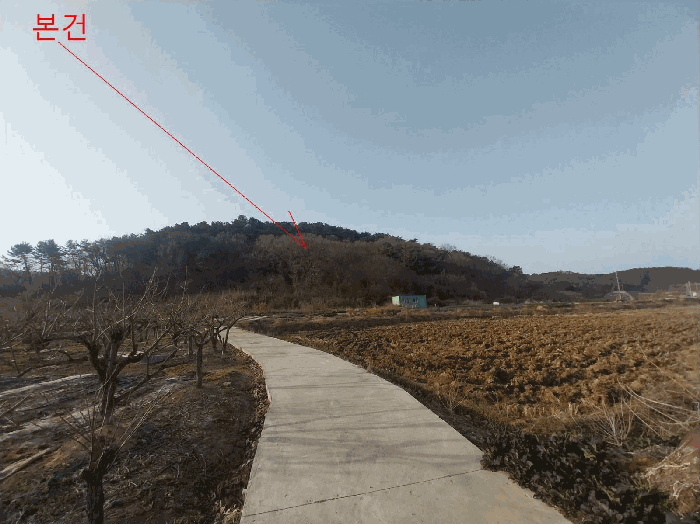 전북특별자치도 부안군 하서면 장신리 971-13 외 1필지 전 경매 사진 4