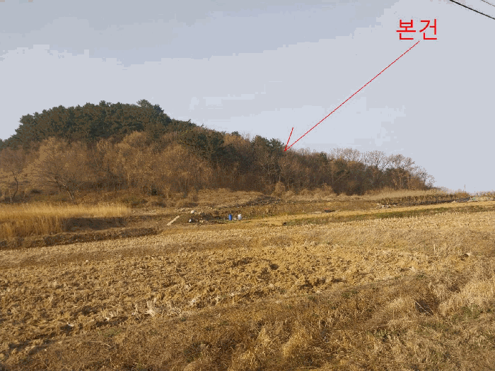 전북특별자치도 부안군 하서면 장신리 971-13 외 1필지 전 경매 사진 5