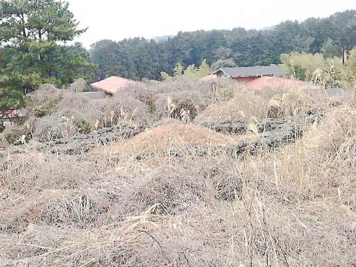 제주특별자치도 제주시 애월읍 고성리 875-3 외 8필지 단독주택 경매 사진 18